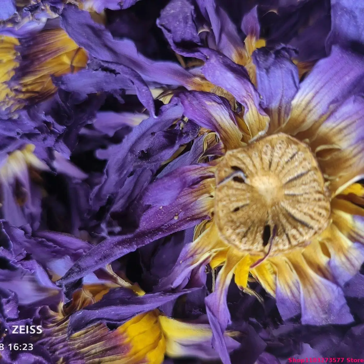 Natural Bulk Organic Blue Lotus Dried Flowers Decorating Soap Candles blue lotus flowers
