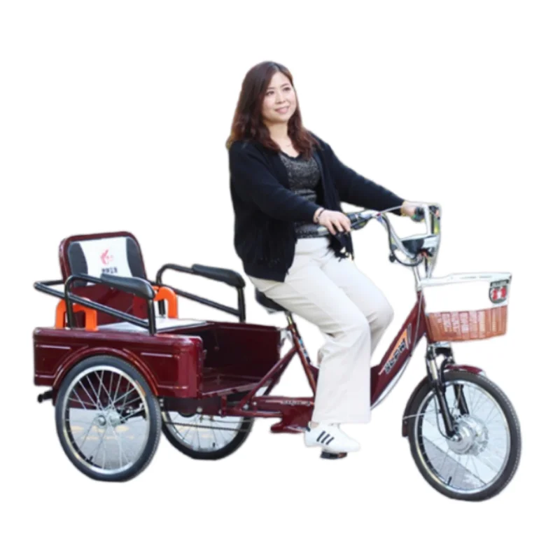 Bicicletta da carico elettrica a tre ruote per adulti 48V 250W con triciclo elettrico per sedile passeggero per batteria al litio rimovibile - immagine 2