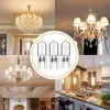 20Pcs G9 Halogen Light Bulbs,40W Clear Halogen Lamps Dimmable,Warm White 2800K for Chandeliers,Pendants,Landscape Lights 6