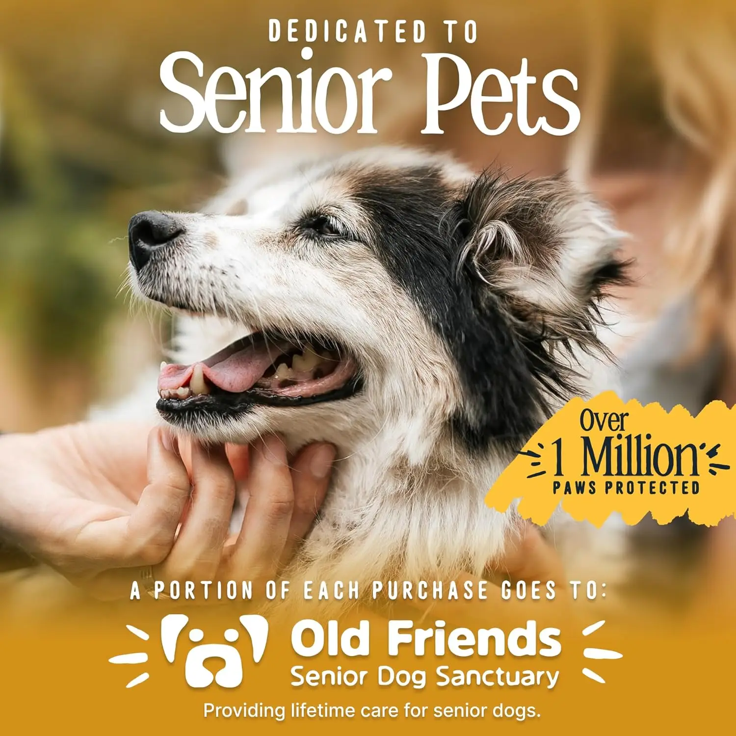 Non-Slip Dog Socks for Paw Protection and Traction on Hardwood Floors