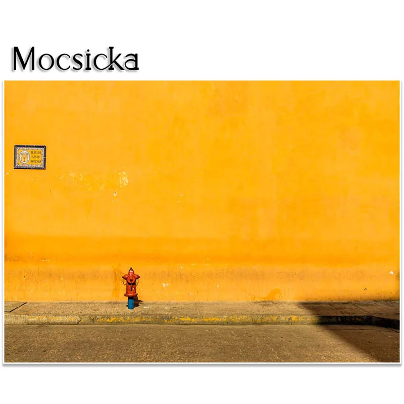 Mocsicka    , ҹ Ƽ  ҳ      ʻȭ  ǰ