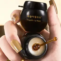 Honey Propolis Moisturizing Lip Balm Lip Mask Repairing Lipstick Lips Care To Fade Lip Lines Exfoliate Dead Skin Makeup Cosmetic