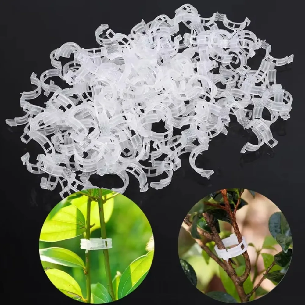 Plastic Plant Clips Supports Connects Reusable Protection Grafting Fixing Tool for Vegetable Tomato plant clips plastic plant clips 50/100pcs