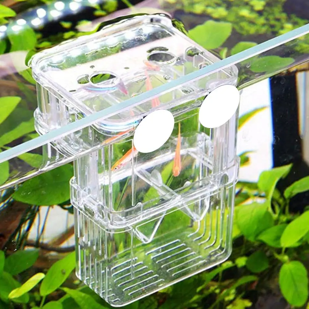 Fish Breeding Box Acrylic Aquarium Breeder Box Double-layer Self Floating Isolation Incubator for Baby Fishes Shrimp Q9N3