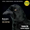 Realistic Corvus Corax High Fidelity Raven Plushie Crow Plush Toys Lifelike Animals Simulation Stuffed Doll Kawai Toy Gifts 1