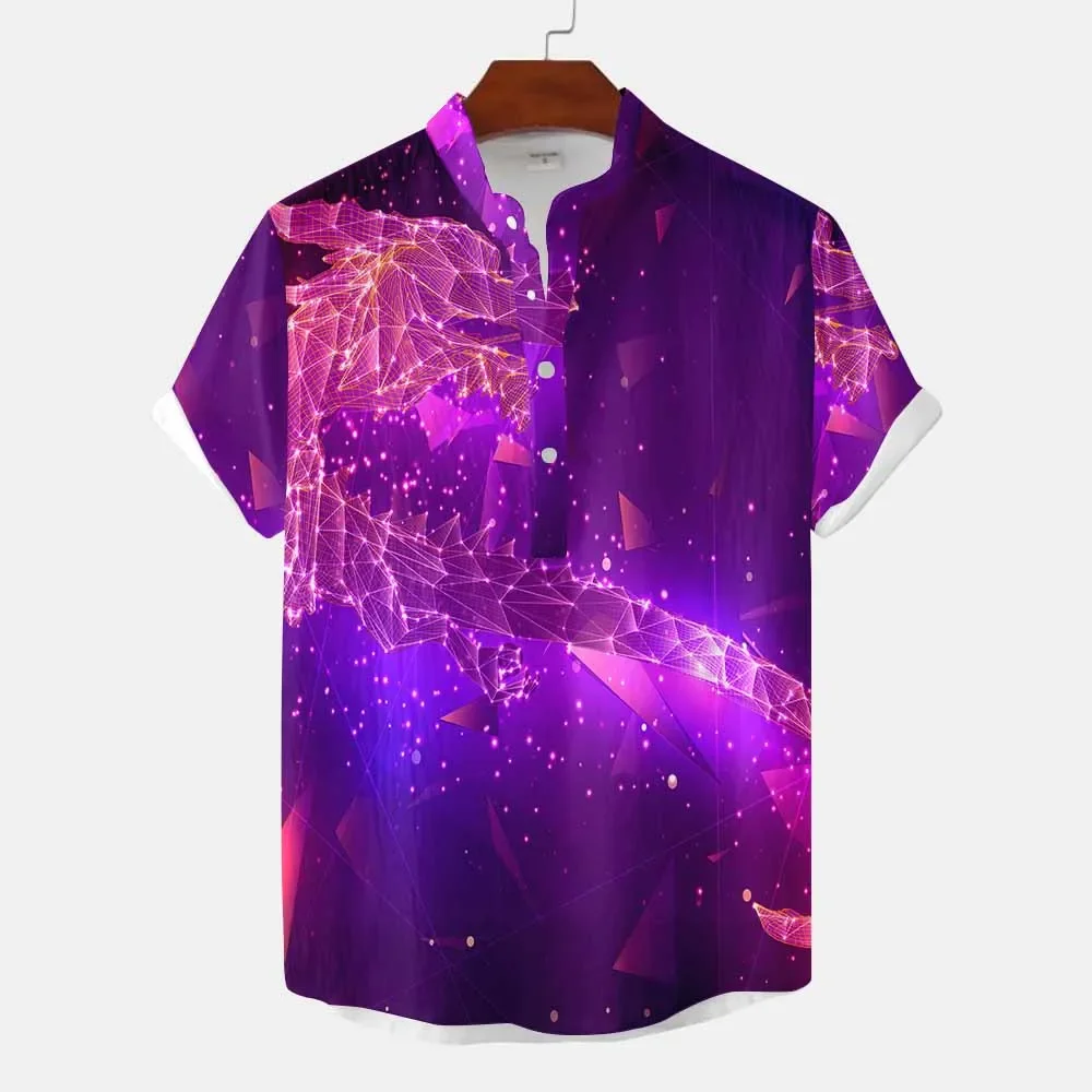 Рисунок 2 - Рубашка мужская с коротким рукавом