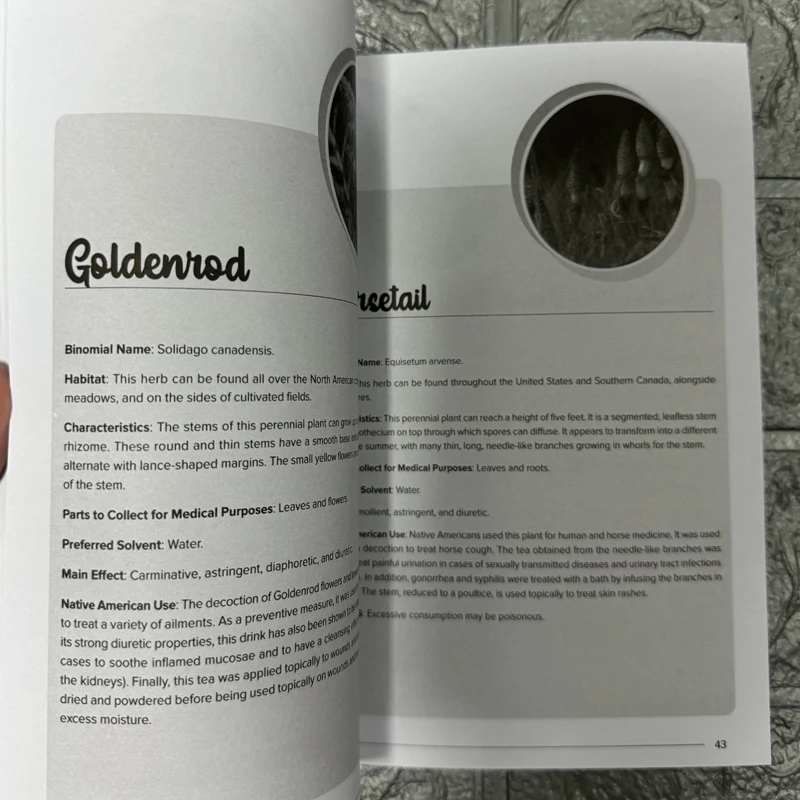 The Herbal Remedies & Natural Medicine Bible The Ultimate Collection of Healing Herbs and Plants to Grow English Paperback Book 4 The Herbal Remedies & Natural Medicine Bible The Ultimate Collection of Healing Herbs and Plants to Grow English Paperback Book 4