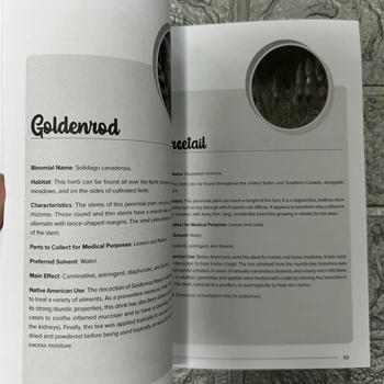 The Herbal Remedies & Natural Medicine Bible The Ultimate Collection of Healing Herbs and Plants to Grow English Paperback Book 4 The Herbal Remedies & Natural Medicine Bible The Ultimate Collection of Healing Herbs and Plants to Grow English Paperback Book 4