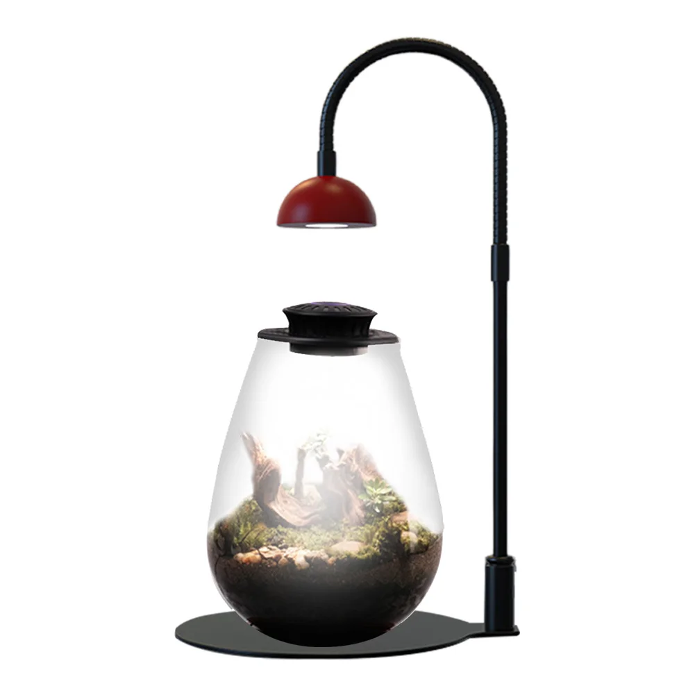 Moss Plant Light with Timmer Micro Landscape Plant Growth Lamp Small Plants Growth Light for Desktop Glass Plant Terrarium