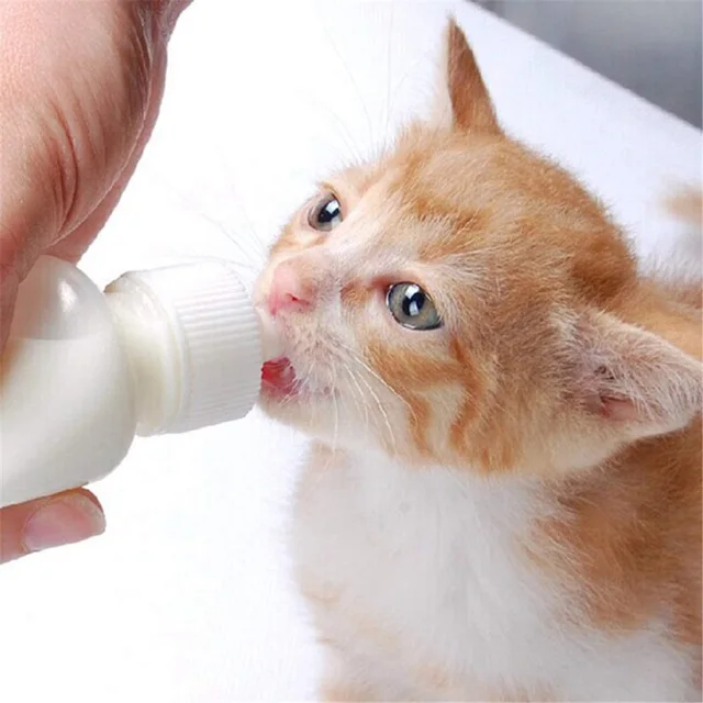Bouteille à lait pour animaux de compagnie 1 pièce  Bouteille  d'alimentation, chien chat Bady, eau d'allaitement, lait avec brosse de  nettoyage, couleur aléatoire 150ml - AliExpress