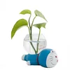 Creative Hydroponic Plant Vase Glass Transparent Container Dish Water Planting Flower Pot Living Room Decoration Decoration 5