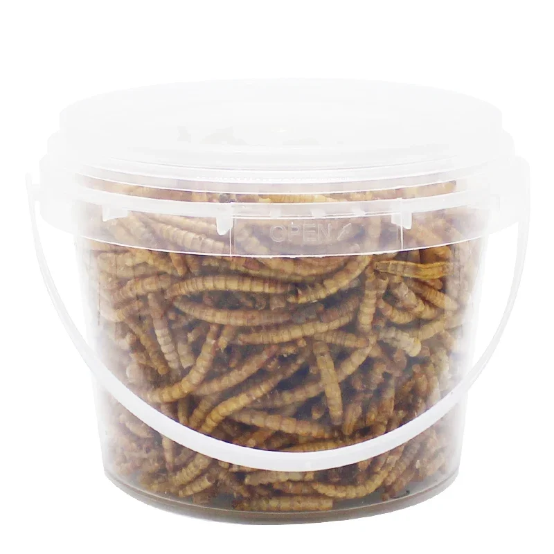 250g High-Protein Mealworms for Wild Bird ,Chicken, Ducks,Fish,Reptile, Tortoise , Amphibian,Lizard