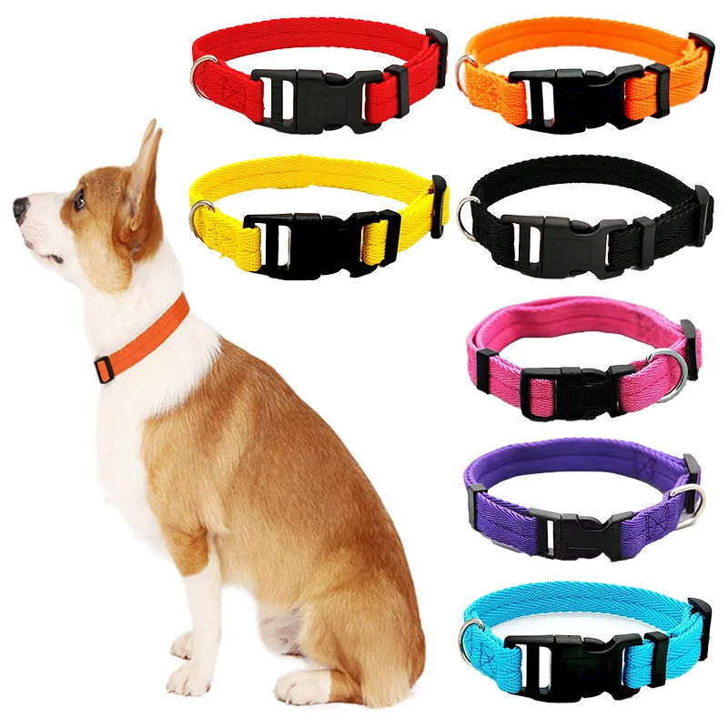 Training Collar Small Dogs Dog Collar Puppies Harness Puppy Dog