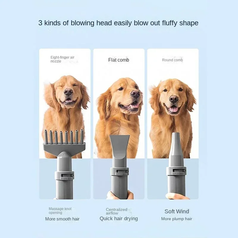 Dog hair dryer 2000W pet dog cat beauty hair dryer warm air fast small medium and large dog