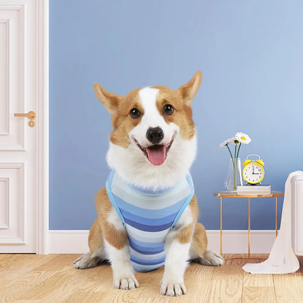 [ s ] Pet Dog Striped Abdominal Wounds Clothes With Button Anti-licking Snugly Bodysuit After Surgery Pet Supplies