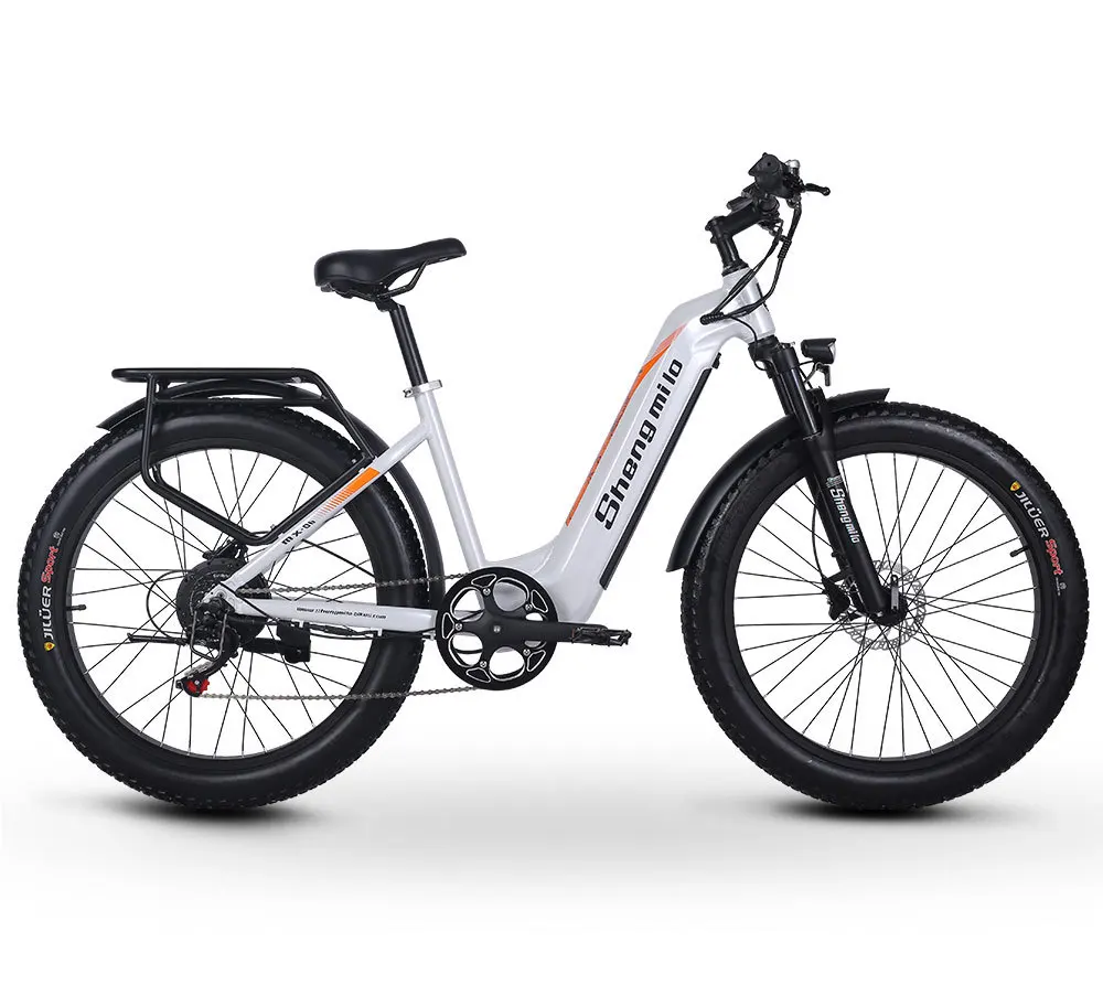 

Luxury Electric Bicycle Lithium Battery 48V17.4Ah Mountain Snow Bike 3.0 Tire Power Assisted Battery Bike