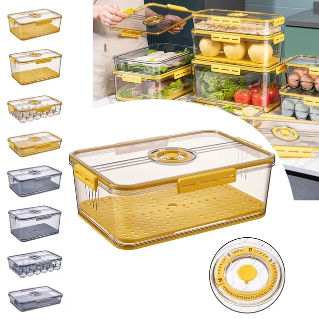 PET Fresh-Keeping Refrigerator Storage Box, Plastic, Thickened, Frozen  Drain, New Style - AliExpress