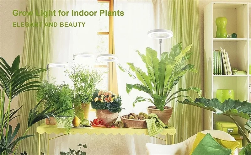 S5df3a3d10a854492b0c31c247b820863N