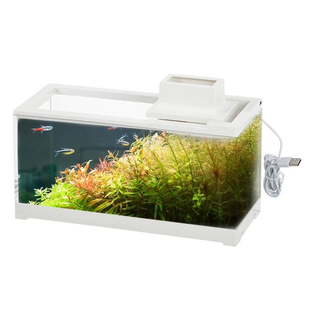 Small Fish Tank Low Voltage Quiet Desk Aquarium With Water Pump Large  Opening Leakproof Light Up Small Aquarium For Tables Desks - AliExpress