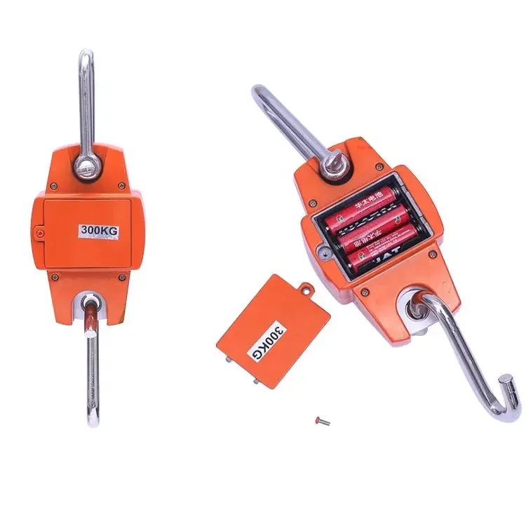 

Электронные весы-краны Vision с грузоподъемностью 10 тонн