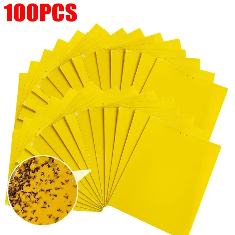 100PCS