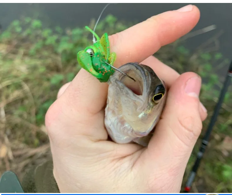 Description Picture 4 of itemSUNMILE Fishing Soft Bait Worm Artificial Baits 4cm/1g 20pcs Rock Fishing Shrimp baits Souple Lure Perch Trout Bass Lures