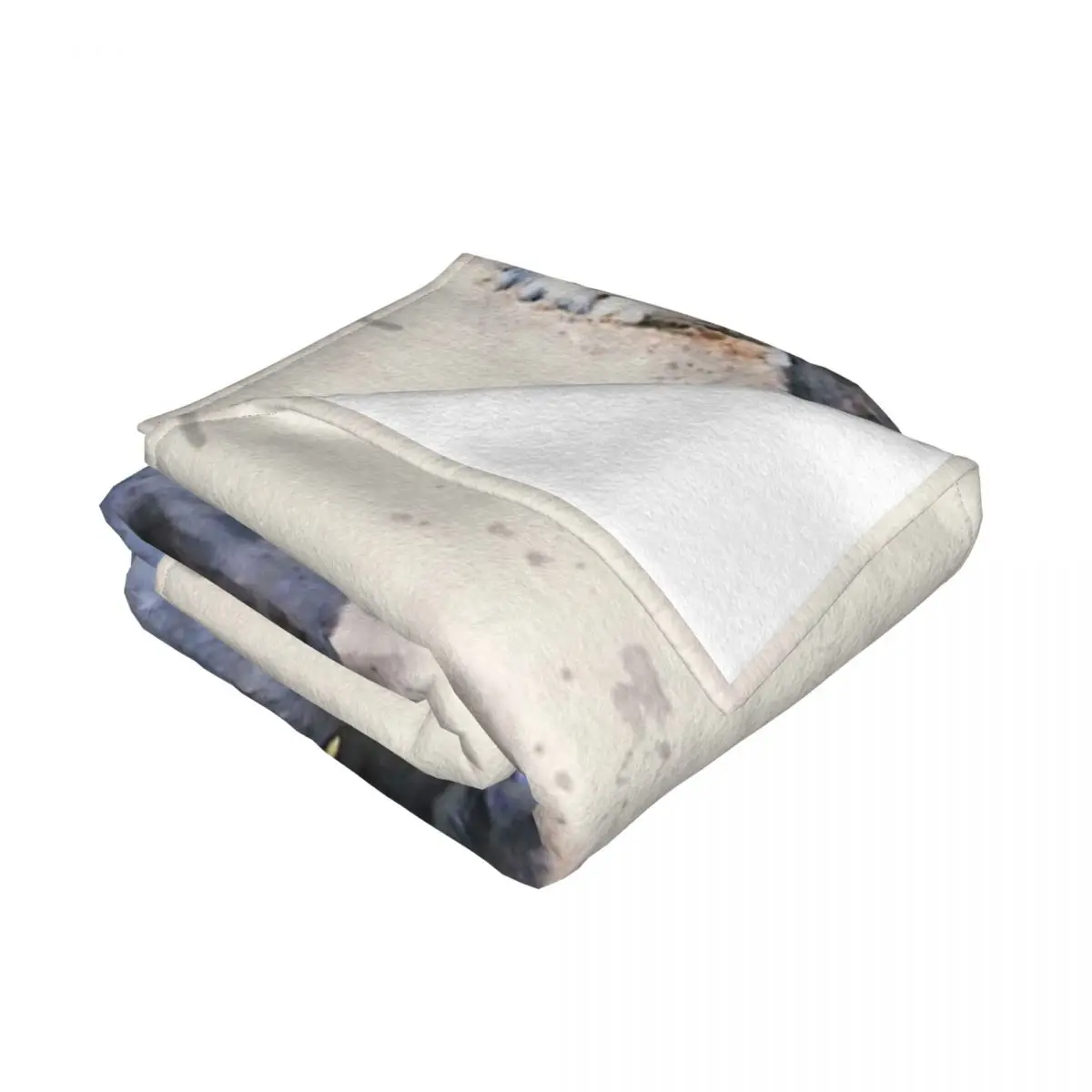 �ٴڿ� ���� �ִ� �Ϳ��� ���� �ݸ�, ��äȭ ���, ħ�� �� ħ�뺸, ī���� ���� ħ��