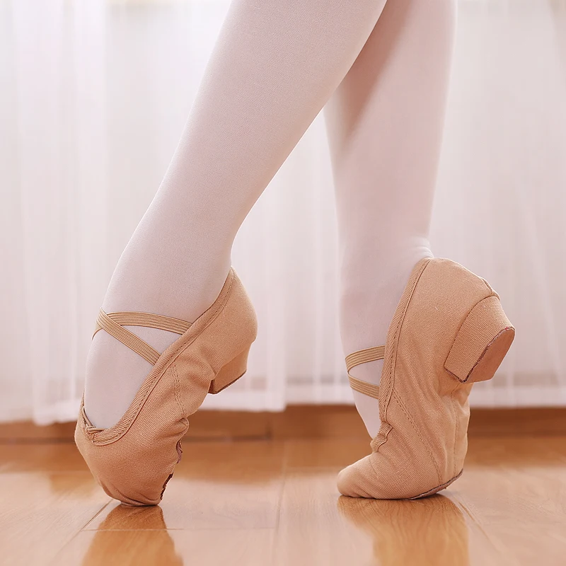Jazz Dance Shoes New Women's Soft Bottom Shoes Summer Winter Canvas