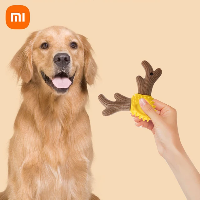 Dog Toys Molar Toothbrush Chew Cleaning Teeth Safe Puppy Dental Care Soft  Pet Cleaning Toy Supplies Dog Toys Puppy Dog Ball - AliExpress