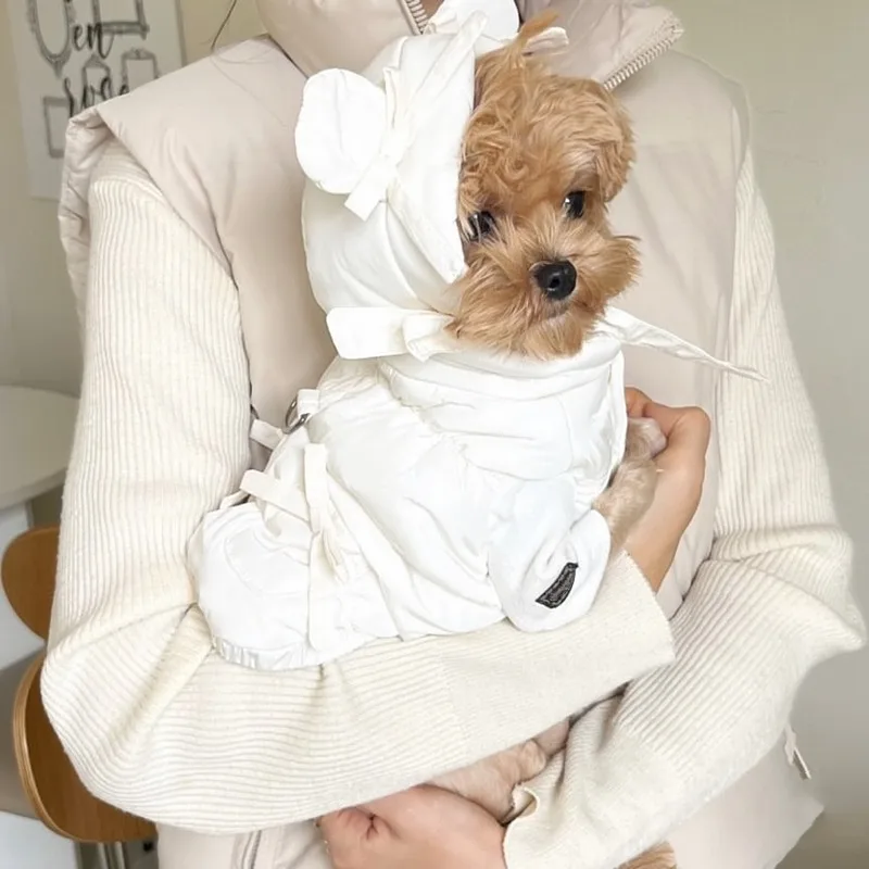 모자 없는 포메라니안 다운 재킷 애완동물 두꺼운 면 코트 푸들 보온 버튼 프론..