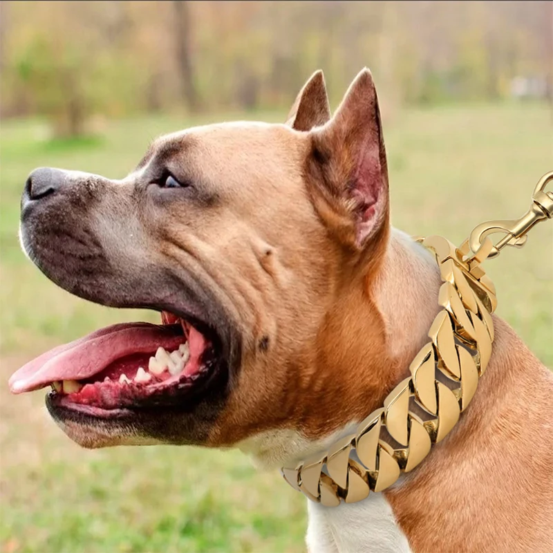 Gold Dog Choke Chain Jewelry for Dogs Chains for Pets Bone 