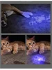 365 UV Veterinary Wood Lamp Pet Fungus Detection Waterproof Flashlight Skin Ultraviolet Light Cat Moss Tinea Light Black Mirror 6
