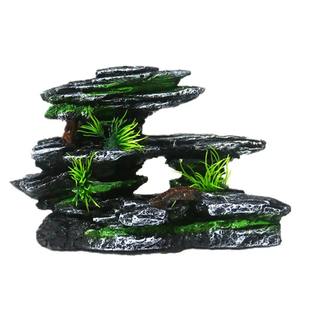 Cawayi Kennel Official Store