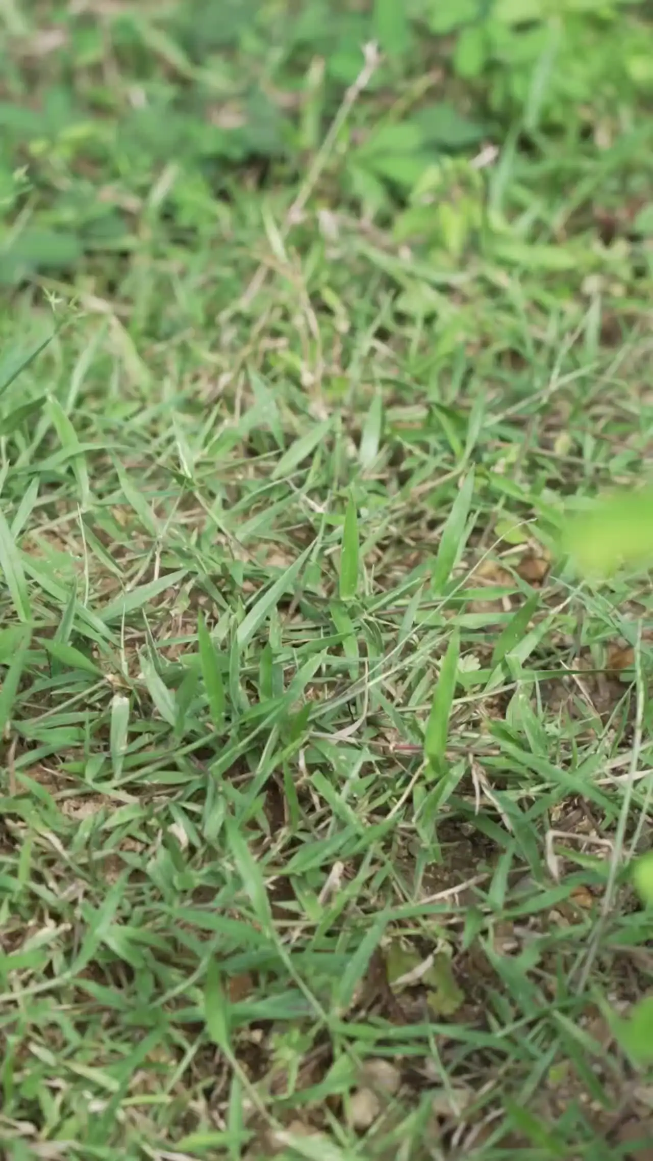 Набор бит NexTool E1 для карманного инструмента