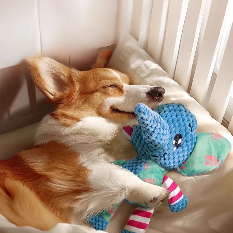 Plush Bite-Resistant Dog Toy for Teeth Grinding and Entertainment