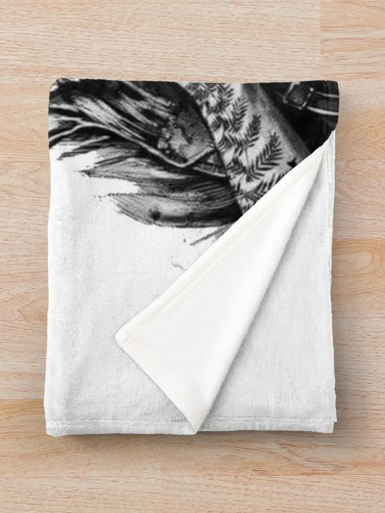 ���� ���� ���� �ö��� ħ�� ����, ������ ������