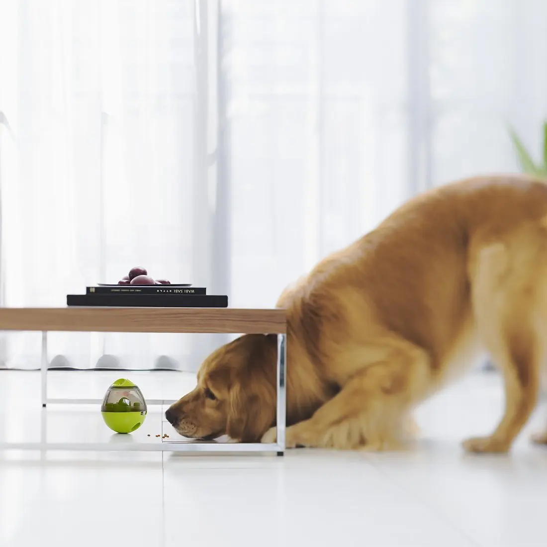 Pet Zone Iq Treat Dispenser Ball Dog Toy  Pet Treat Ball Food Dispenser - Pet  Dog - Aliexpress