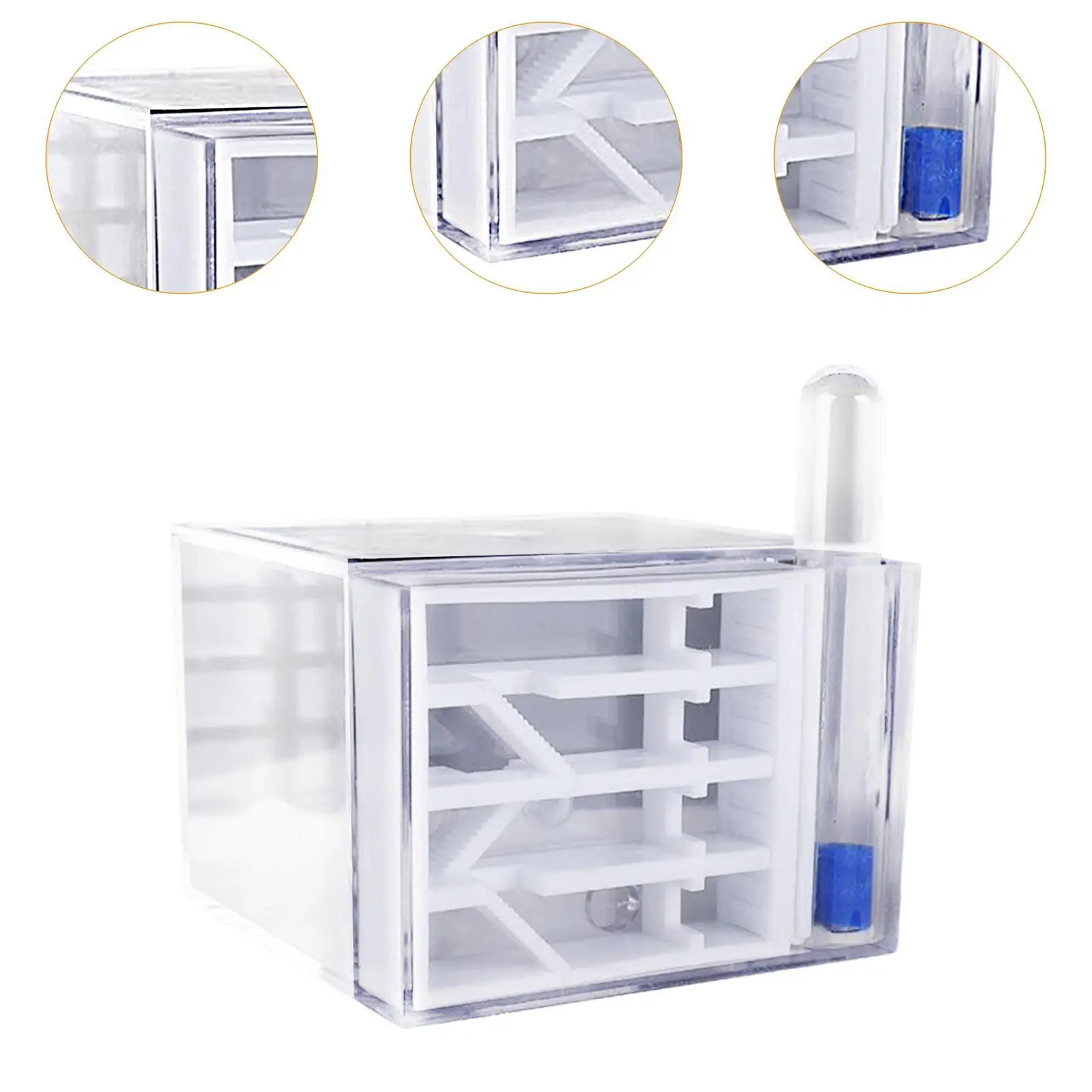 ANT Farm DIY Supplies Funny Toys Study ANT Habitat ANT Nest for Childrens Day Gift Decoration Tabletop Science Observation ANT Farm DIY Supplies Funny Toys Study ANT Habitat ANT Nest for Childrens Day Gift Decoration Tabletop Science Observation