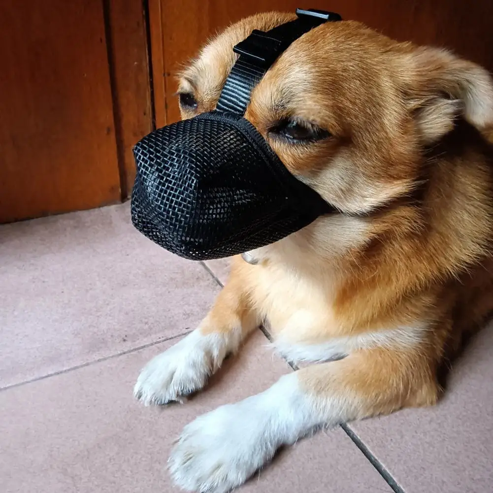Dog Muzzle Adjustable Soft Mesh for Small Medium Large Dogs Prevents Biting Chewing Breathable Pet dog muzzle