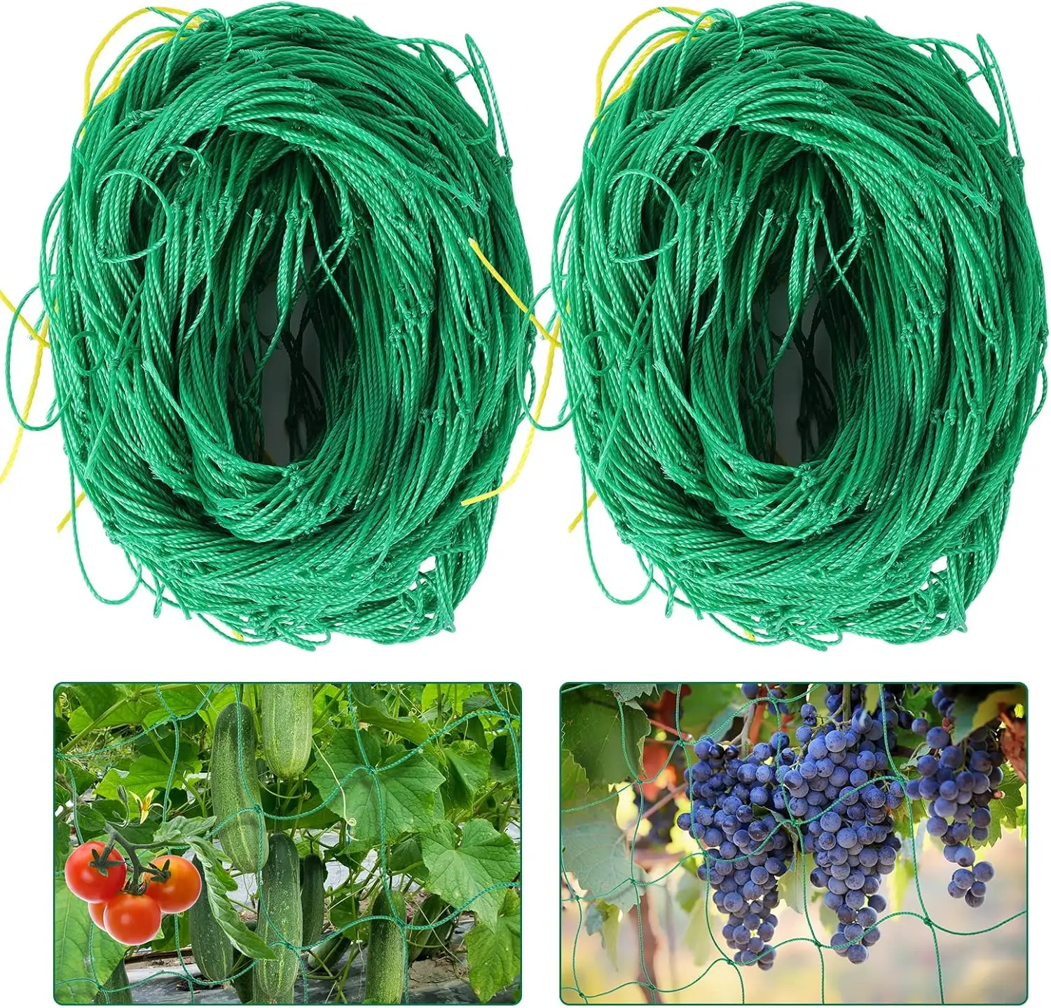 Red de enrejado para plantas trepadoras, soporte para jardín, redes de  cultivo con malla cuadrada para plantas, pepino, tomate, uvas, soporte para  vid - AliExpress, image size:1500x1438