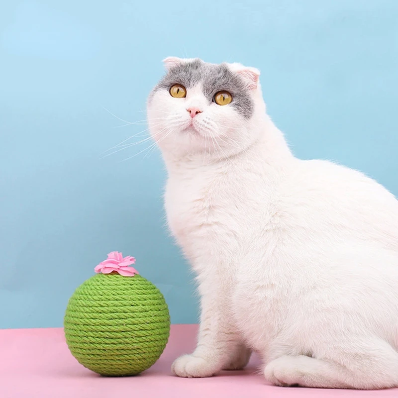 

Sisal Cat Scratching Ball, Cactus Tumbler with Catnip, Pet Toy, New