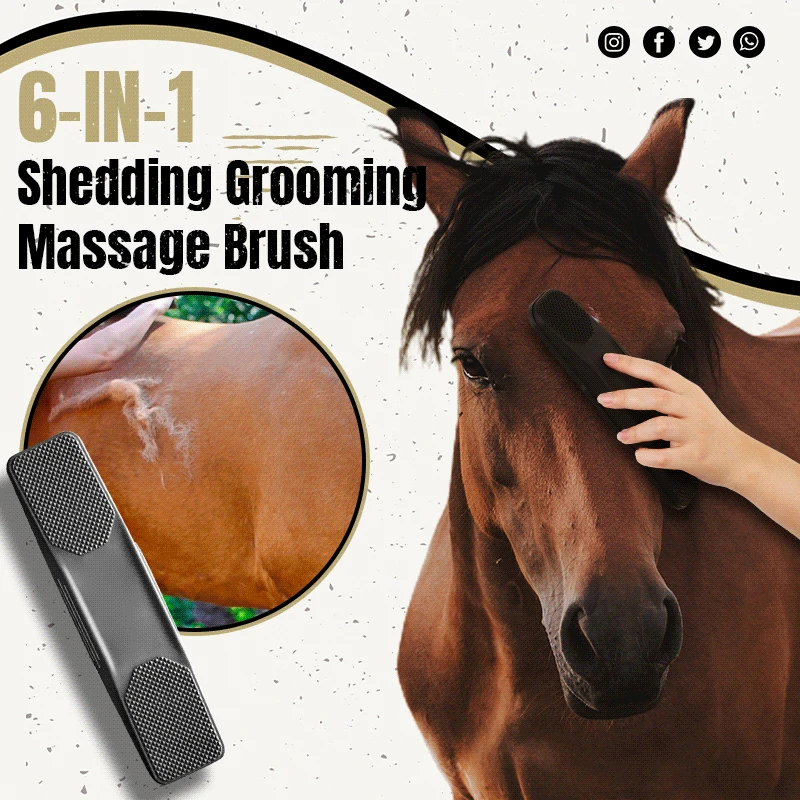 6 in 1 Rubber Grooming Brush