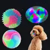 Pet Light Up Toy Ball Glowing LED Puppy Flashing Elastic Ball Toy Color Light TPR Ball Interactive Toys For Cats Small Dogs 1