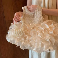 Robe tutu pour petites filles, vêtements pour nouveau-nés, robe de princesse avec gros nœud, pour 1er an, anniversaire, mariage, baptême, fête pour nourrissons 2