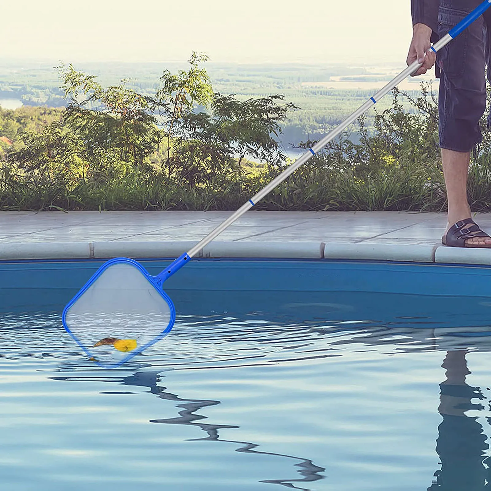 Pond Cleaning Net edu.svet.gob.gt