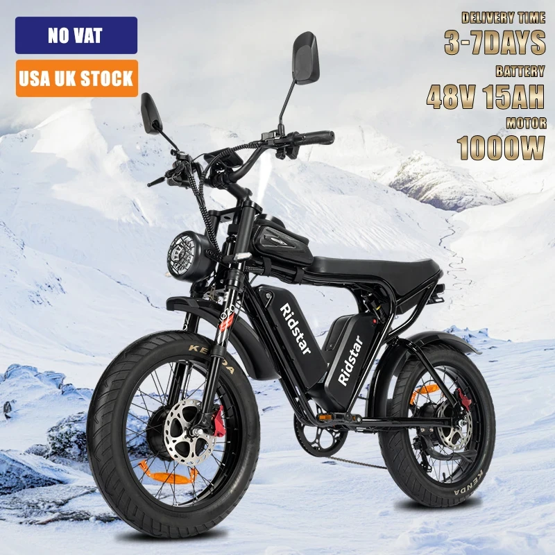 Electric Bicycle 2000W Powerful Dual Motor 52V 40Ah Dual Battery Q20 Ebike Motorcycle Mountain 20x4.0 Fat Tire Electric Bike