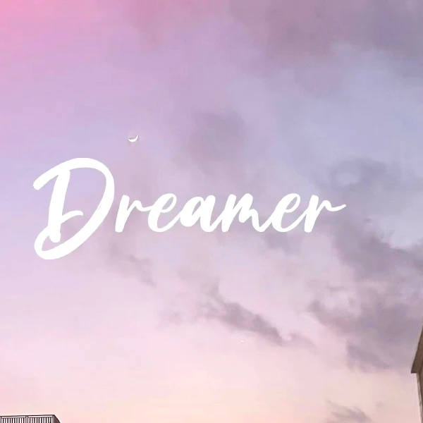 Dreamer Offical Store Store
