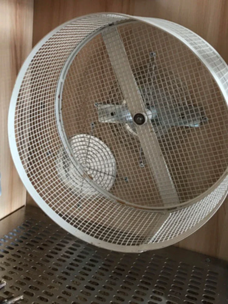 ġ ٶ   , ưư ݼ  峭, ߰ Ȱ 