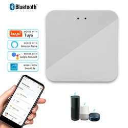 Smart Home Control Hub with Multi-Mode Connectivity and Voice Assistance (Bluetooth gateway)