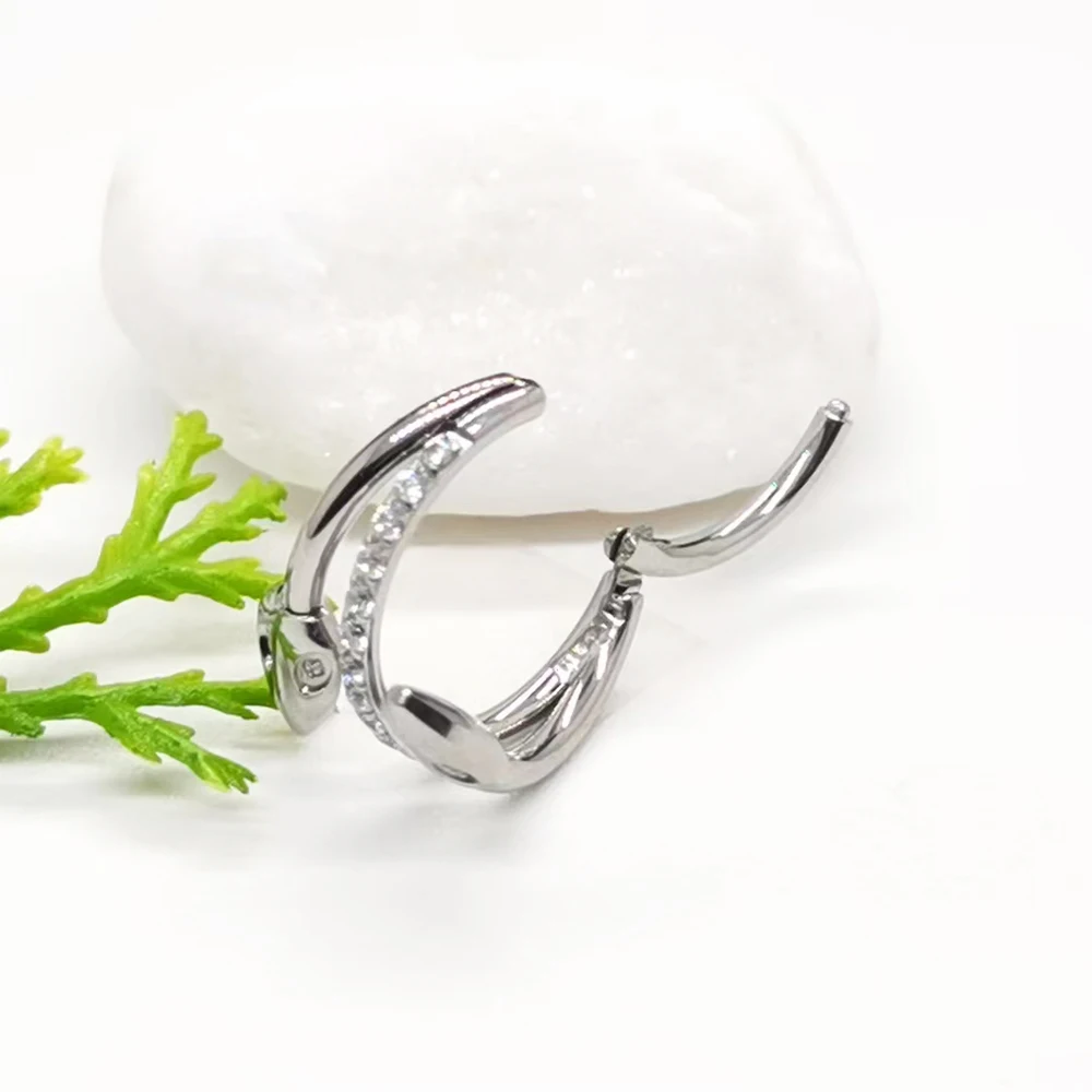Septum Piercing Nose Rings G23 Titanium Earrings Fan Zircon Hoop Hinged Segment Clicker Tragus Cartilage Helix Piercing Jewelry